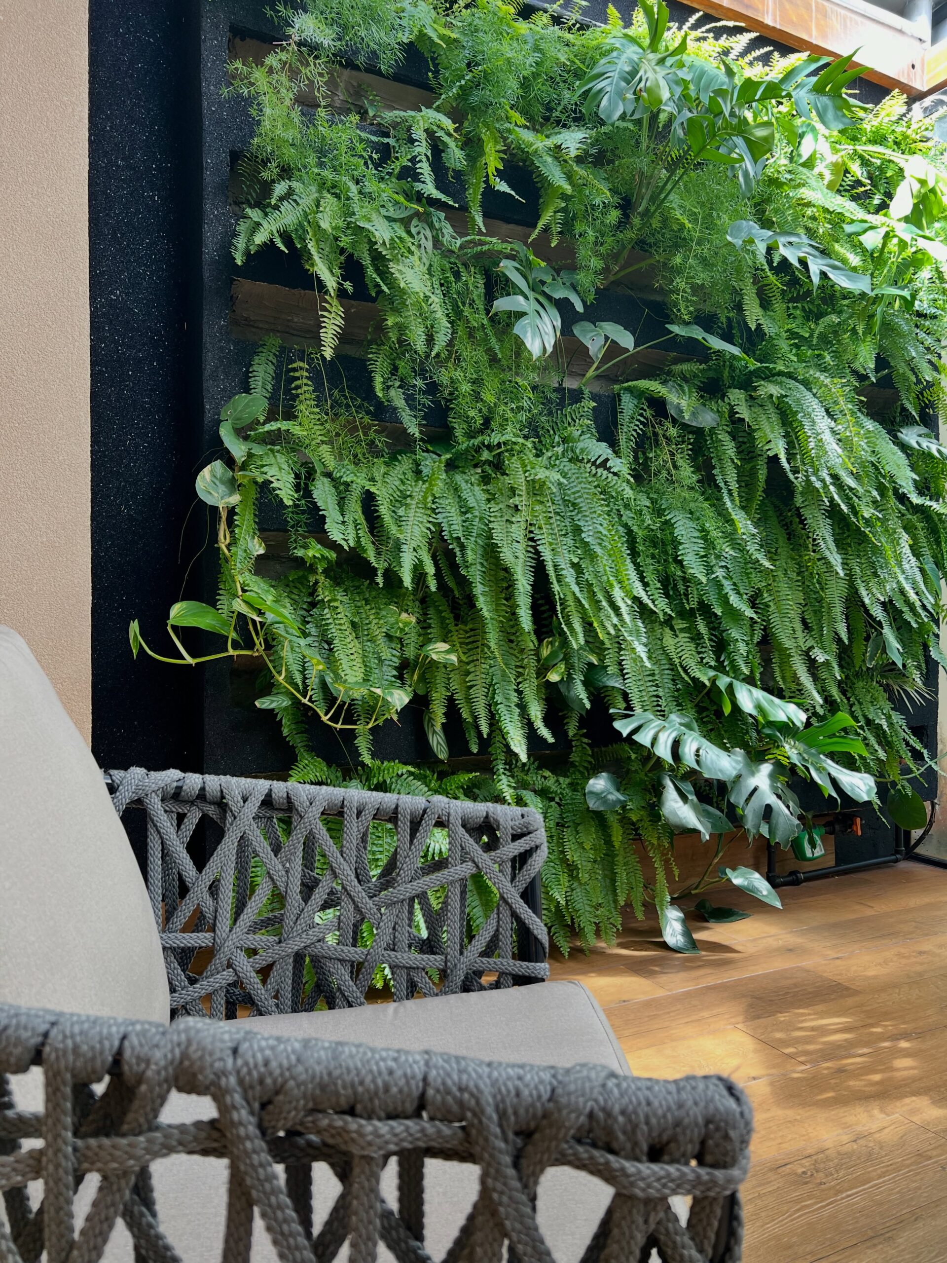 Como criar um visual gourmet com textura e sofisticação para jardim vertical